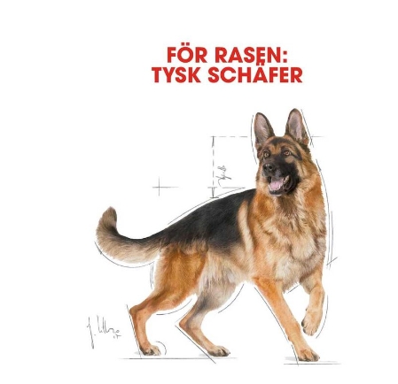 royal canin german shepherd adult