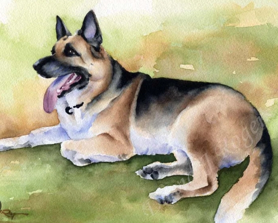 german shepherd painting