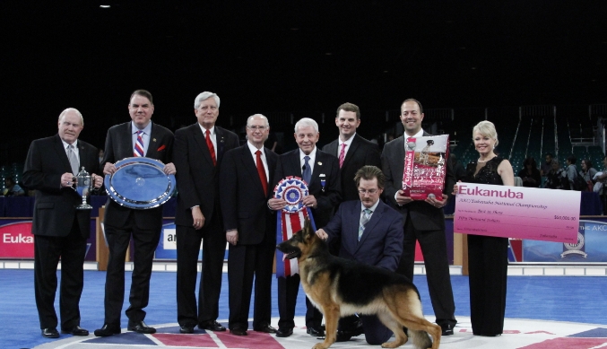 eukanuba german shepherd