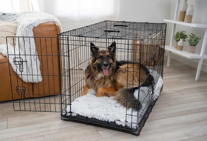 best crate for german shepherd