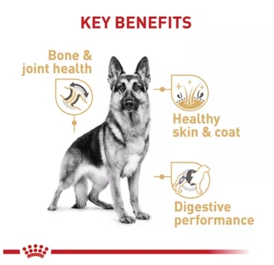 royal canin gsd