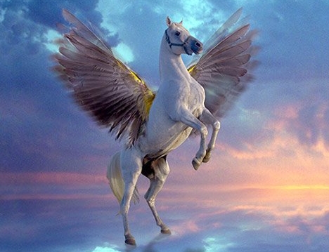 the pegasus