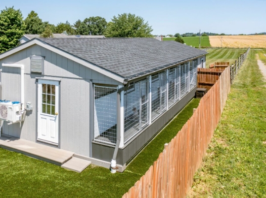 Giant Dog Houses for Great Danes